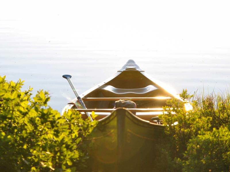 sudoku challenge mode screenshot 4