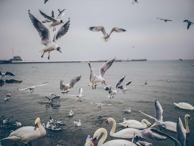 sudoku challenge mode screenshot 5